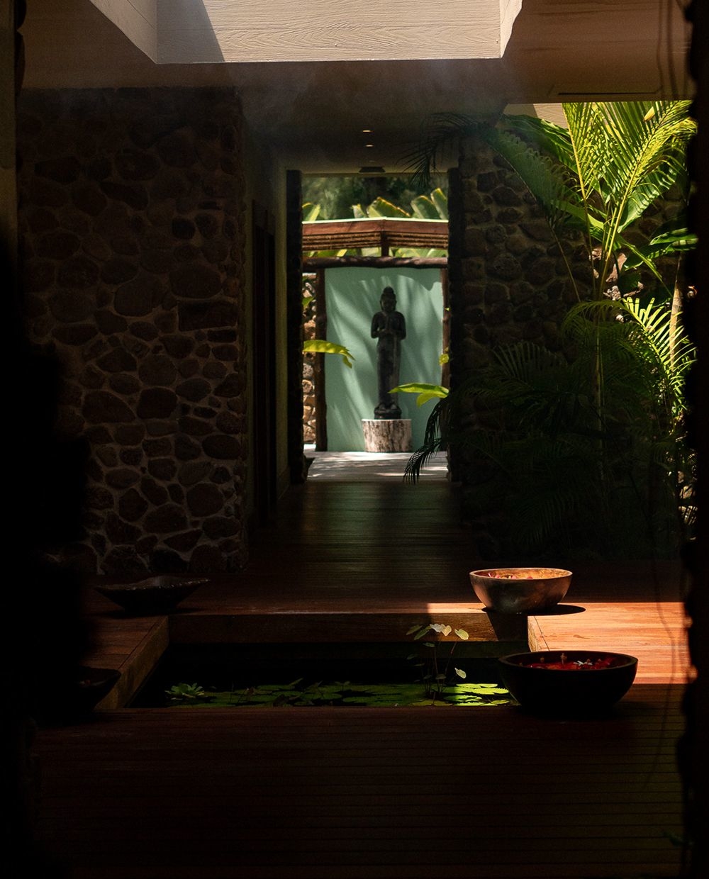 wellness